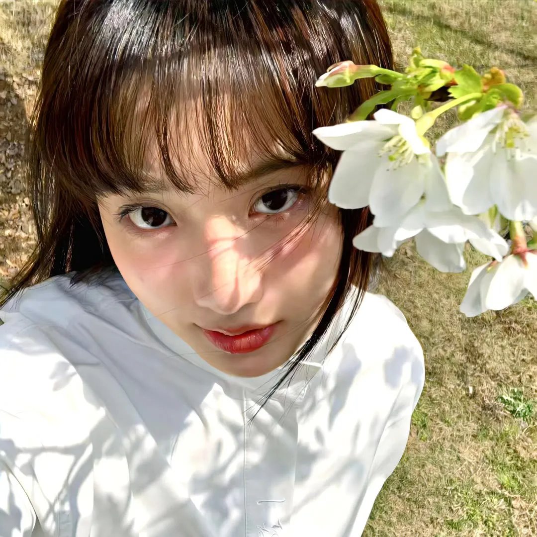 寅次郎的故事29：紫阳花之恋